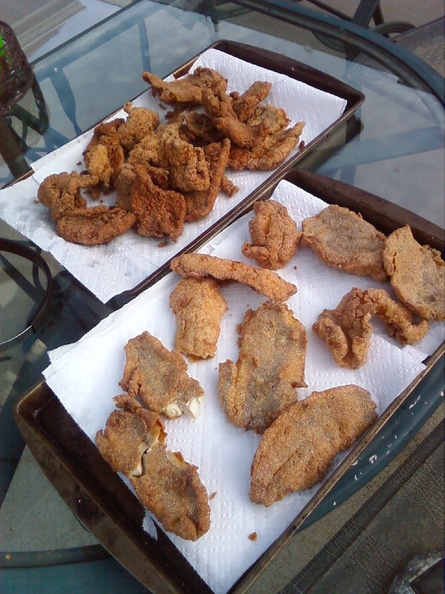 Eating - 04 - Country Fish Fry.jpg